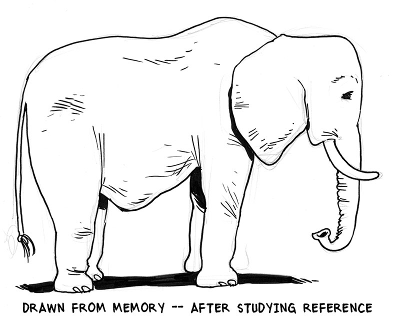 pictures of elephants to draw